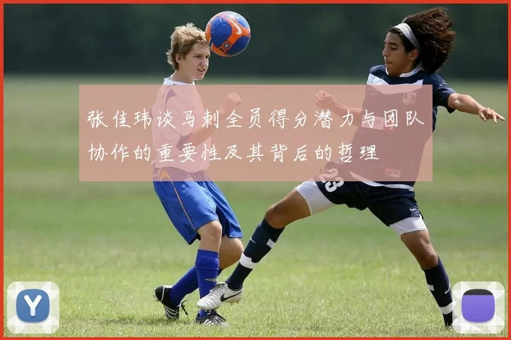 张佳玮谈马刺全员得分潜力与团队协作的重要性及其背后的哲理